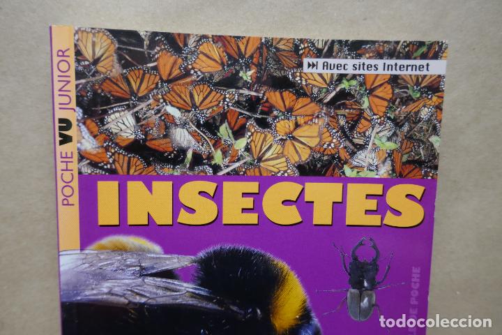 Libros de segunda mano: Insectes - Poche VU Junior - (en Franc&eacute;s) EN EXCELENTE ESTADO - Foto 3