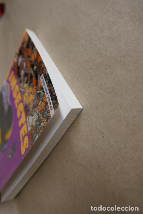 Libros de segunda mano: Insectes - Poche VU Junior - (en Franc&eacute;s) EN EXCELENTE ESTADO - Foto 4