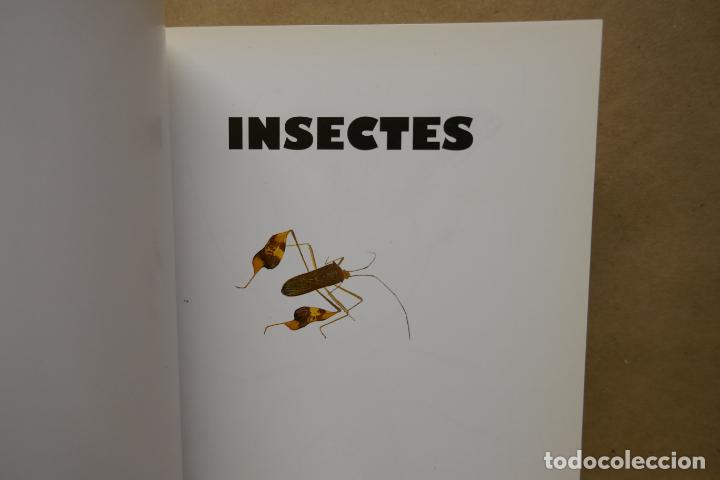 Libros de segunda mano: Insectes - Poche VU Junior - (en Franc&eacute;s) EN EXCELENTE ESTADO - Foto 5