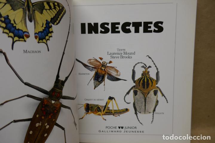Libros de segunda mano: Insectes - Poche VU Junior - (en Franc&eacute;s) EN EXCELENTE ESTADO - Foto 6