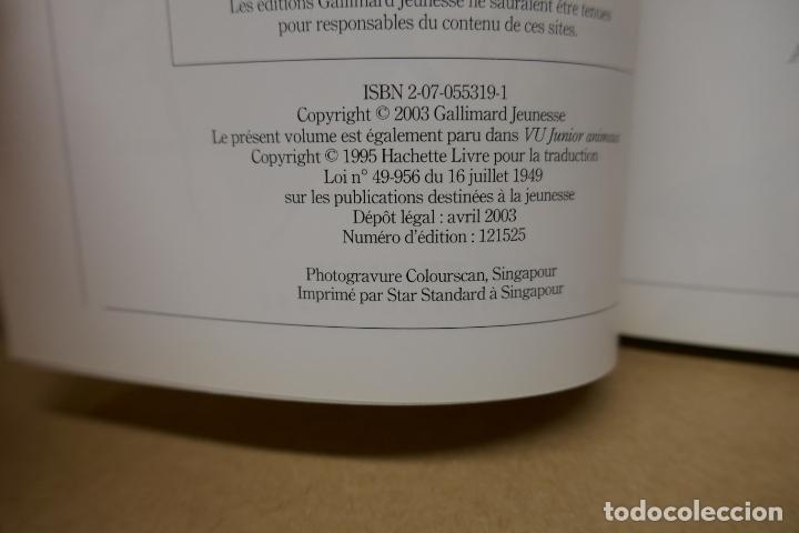 Libros de segunda mano: Insectes - Poche VU Junior - (en Franc&eacute;s) EN EXCELENTE ESTADO - Foto 9
