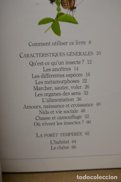 Libros de segunda mano: Insectes - Poche VU Junior - (en Franc&eacute;s) EN EXCELENTE ESTADO - Foto 10