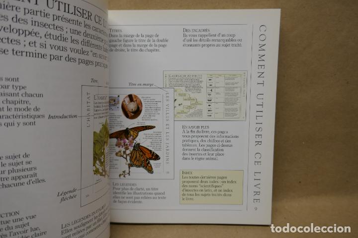 Libros de segunda mano: Insectes - Poche VU Junior - (en Franc&eacute;s) EN EXCELENTE ESTADO - Foto 13