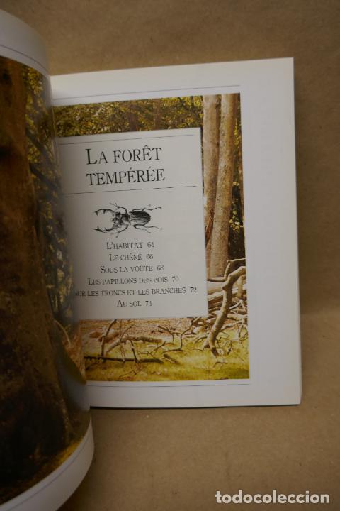 Libros de segunda mano: Insectes - Poche VU Junior - (en Franc&eacute;s) EN EXCELENTE ESTADO - Foto 14