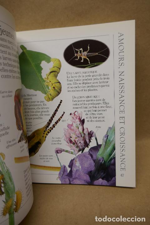 Libros de segunda mano: Insectes - Poche VU Junior - (en Franc&eacute;s) EN EXCELENTE ESTADO - Foto 15
