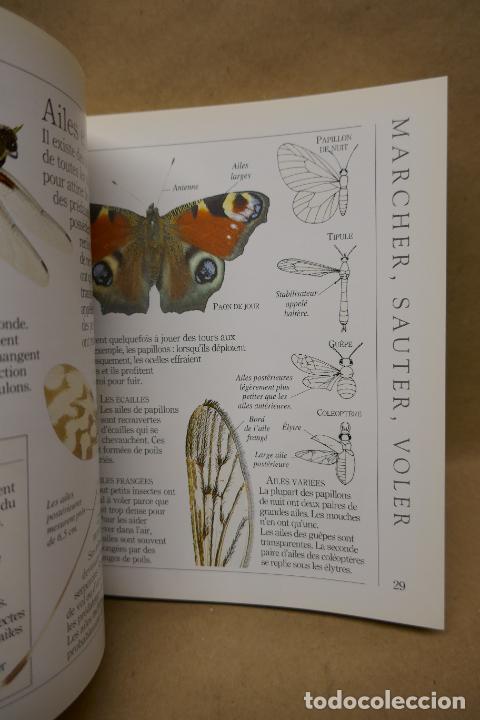 Libros de segunda mano: Insectes - Poche VU Junior - (en Franc&eacute;s) EN EXCELENTE ESTADO - Foto 16