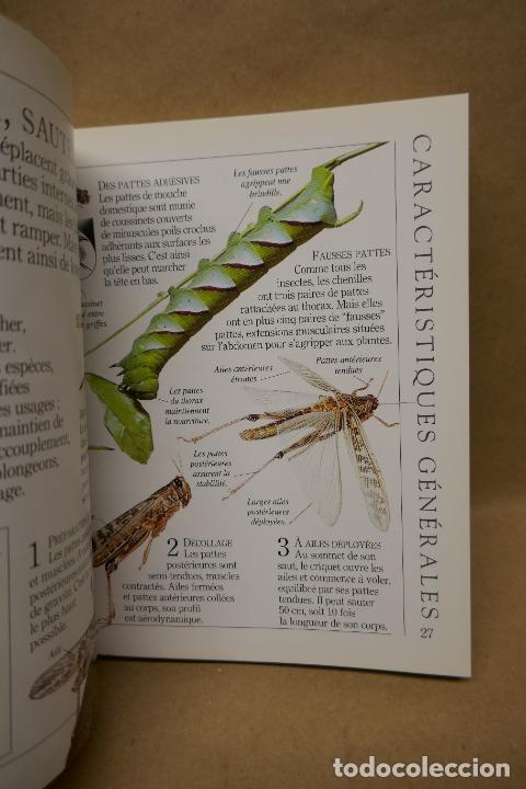 Libros de segunda mano: Insectes - Poche VU Junior - (en Franc&eacute;s) EN EXCELENTE ESTADO - Foto 17