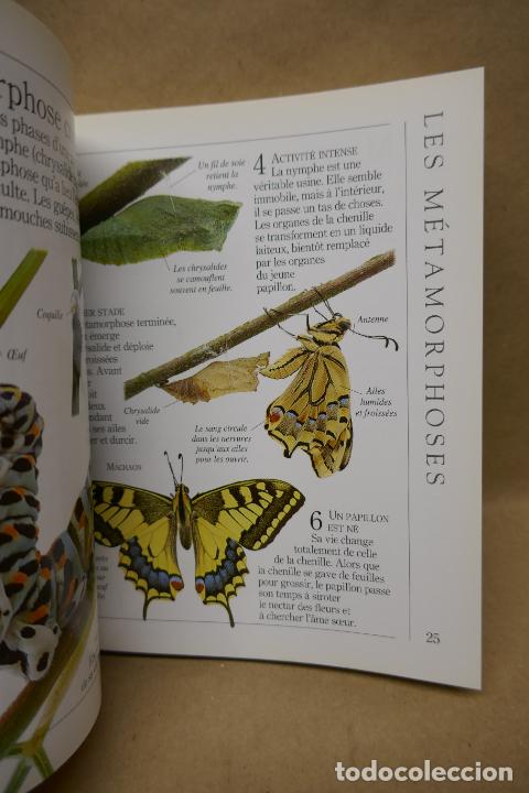 Libros de segunda mano: Insectes - Poche VU Junior - (en Franc&eacute;s) EN EXCELENTE ESTADO - Foto 18