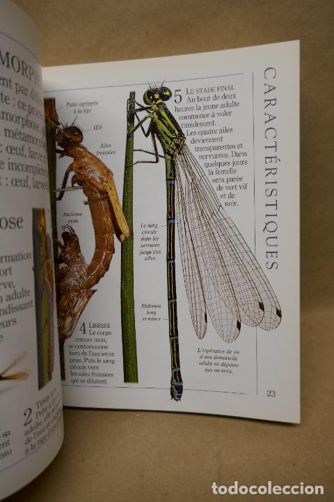 Libros de segunda mano: Insectes - Poche VU Junior - (en Franc&eacute;s) EN EXCELENTE ESTADO - Foto 19