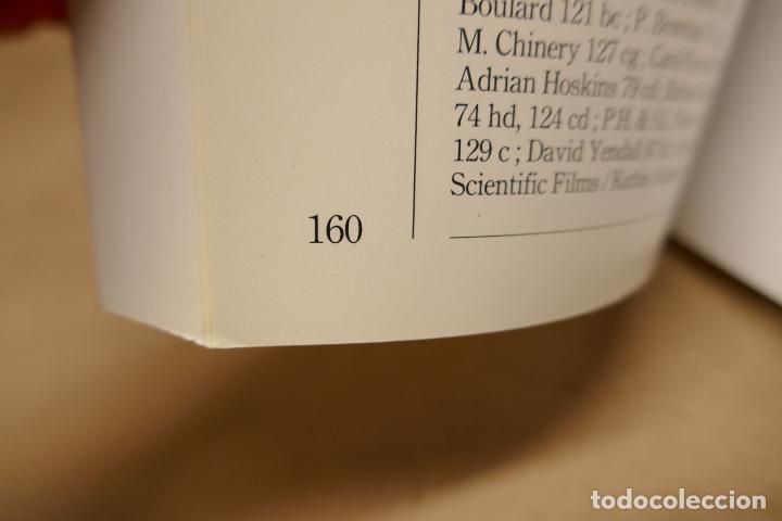 Libros de segunda mano: Insectes - Poche VU Junior - (en Franc&eacute;s) EN EXCELENTE ESTADO - Foto 20