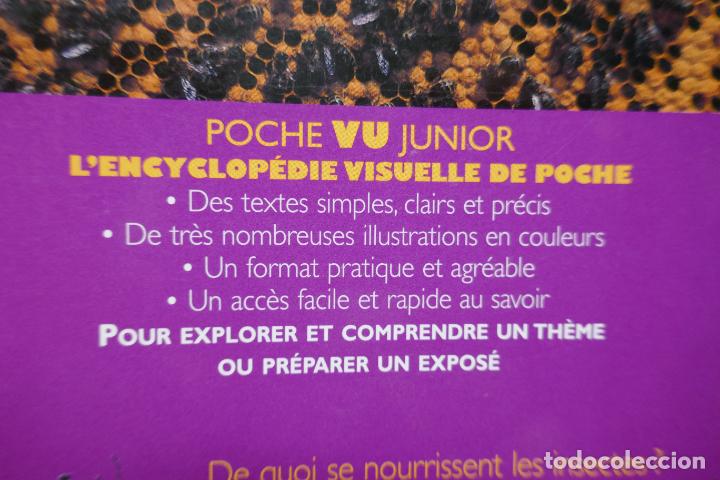 Libros de segunda mano: Insectes - Poche VU Junior - (en Franc&eacute;s) EN EXCELENTE ESTADO - Foto 22