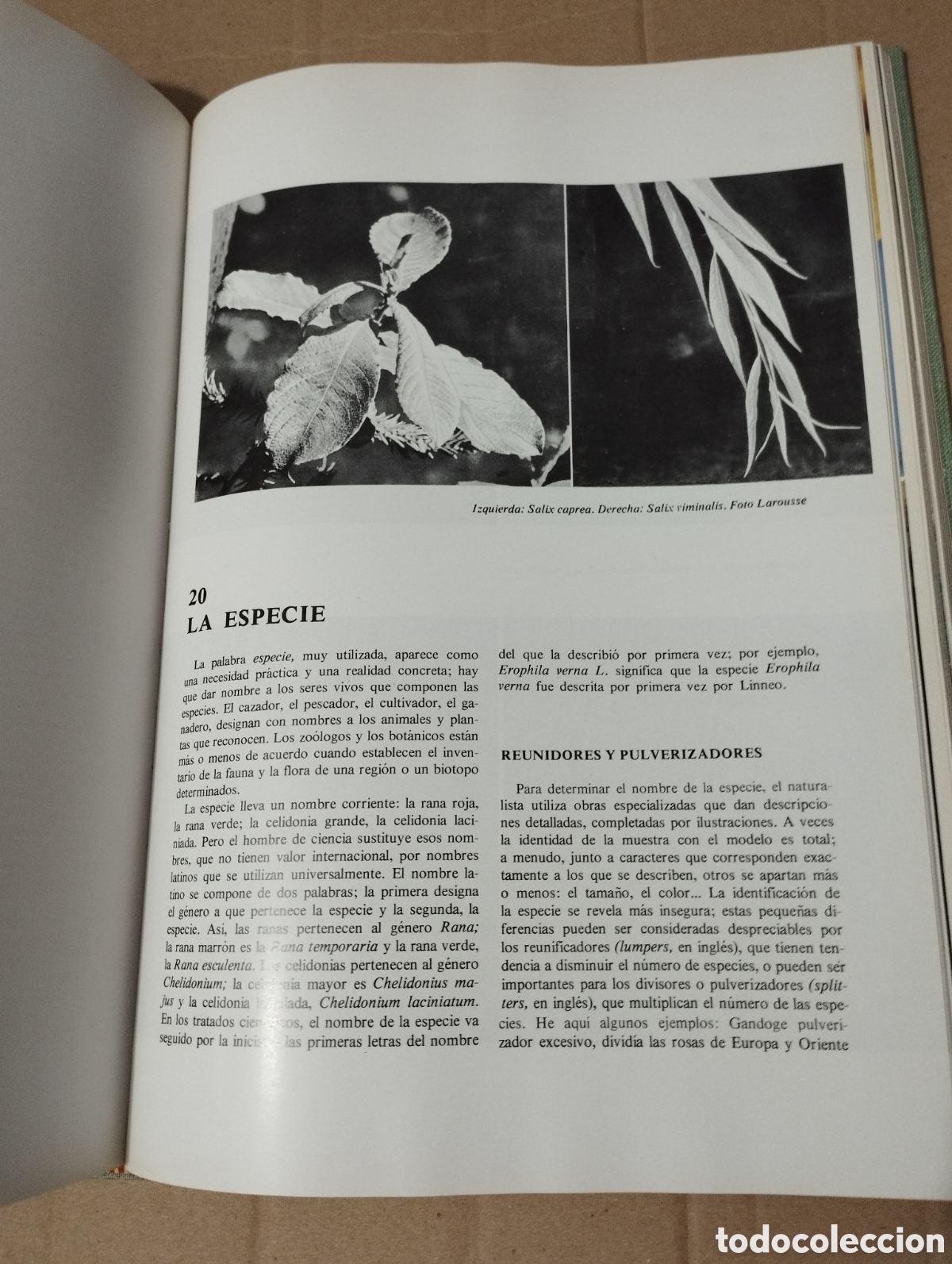 Libros de segunda mano: LA VIDA (JEAN ROSTAND / ANDR&Eacute;E TETRY) - Foto 9