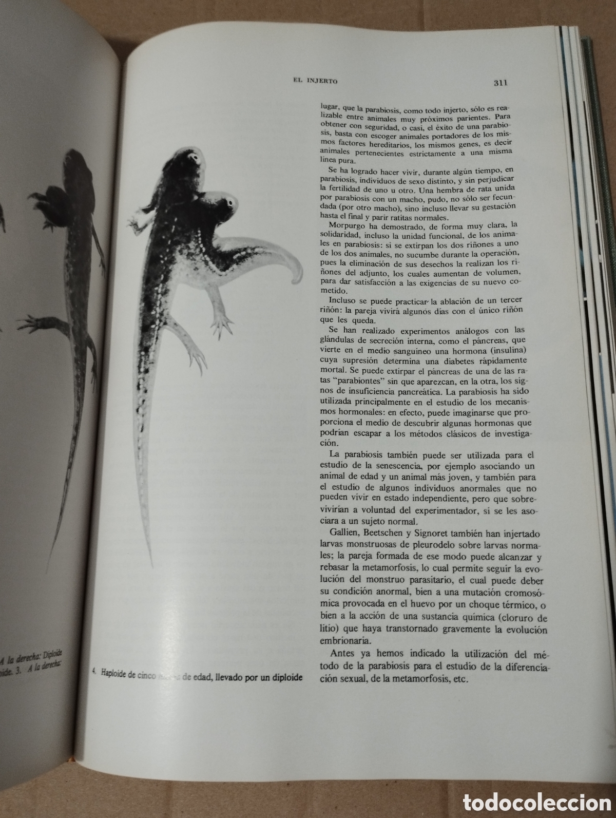 Libros de segunda mano: LA VIDA (JEAN ROSTAND / ANDR&Eacute;E TETRY) - Foto 12