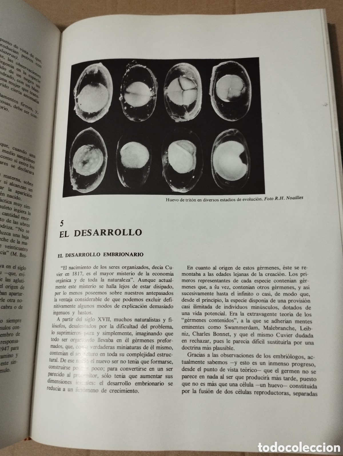Libros de segunda mano: LA VIDA (JEAN ROSTAND / ANDR&Eacute;E TETRY) - Foto 14