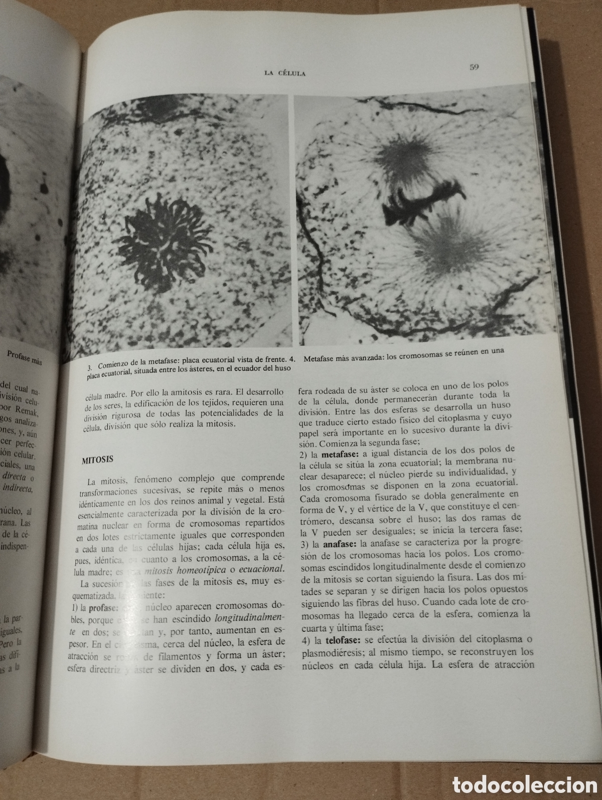 Libros de segunda mano: LA VIDA (JEAN ROSTAND / ANDR&Eacute;E TETRY) - Foto 16