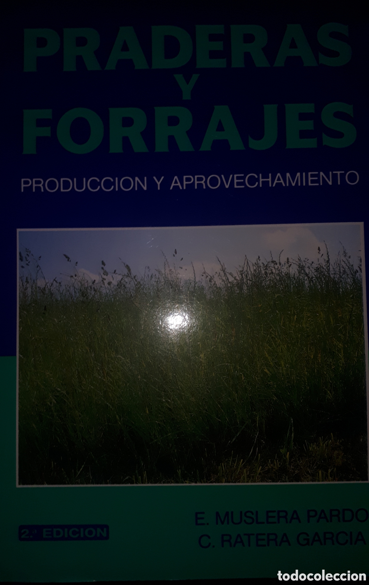 Gebrauchte B&uuml;cher: PRADERAS Y FORRAJES PRODUCCI&Oacute;N Y APROVECHAMIENTO E. MUSLERA PARDO - C. RATERA GARC&Iacute;A