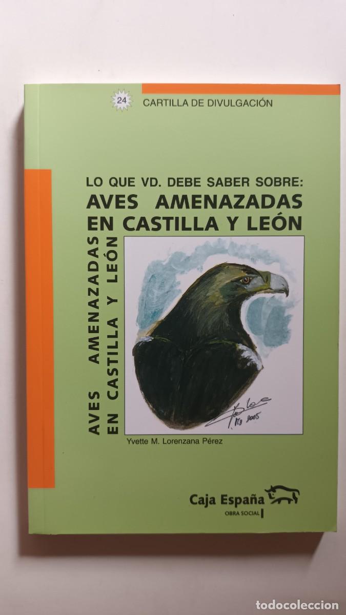 Libros de segunda mano: AVES AMENAZADAS EN CASTILLA Y LE&Oacute;N - Foto 1