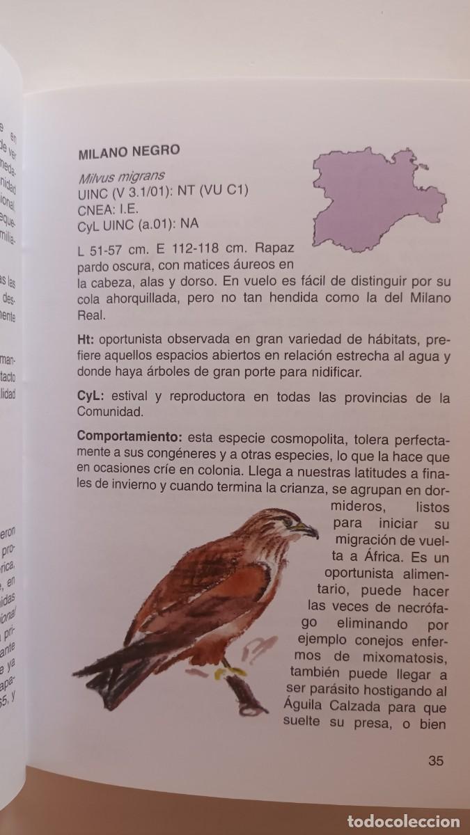 Libros de segunda mano: AVES AMENAZADAS EN CASTILLA Y LE&Oacute;N - Foto 2