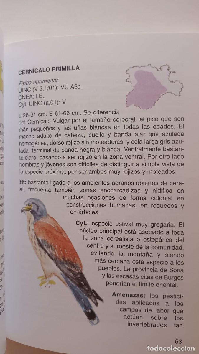 Libros de segunda mano: AVES AMENAZADAS EN CASTILLA Y LE&Oacute;N - Foto 3