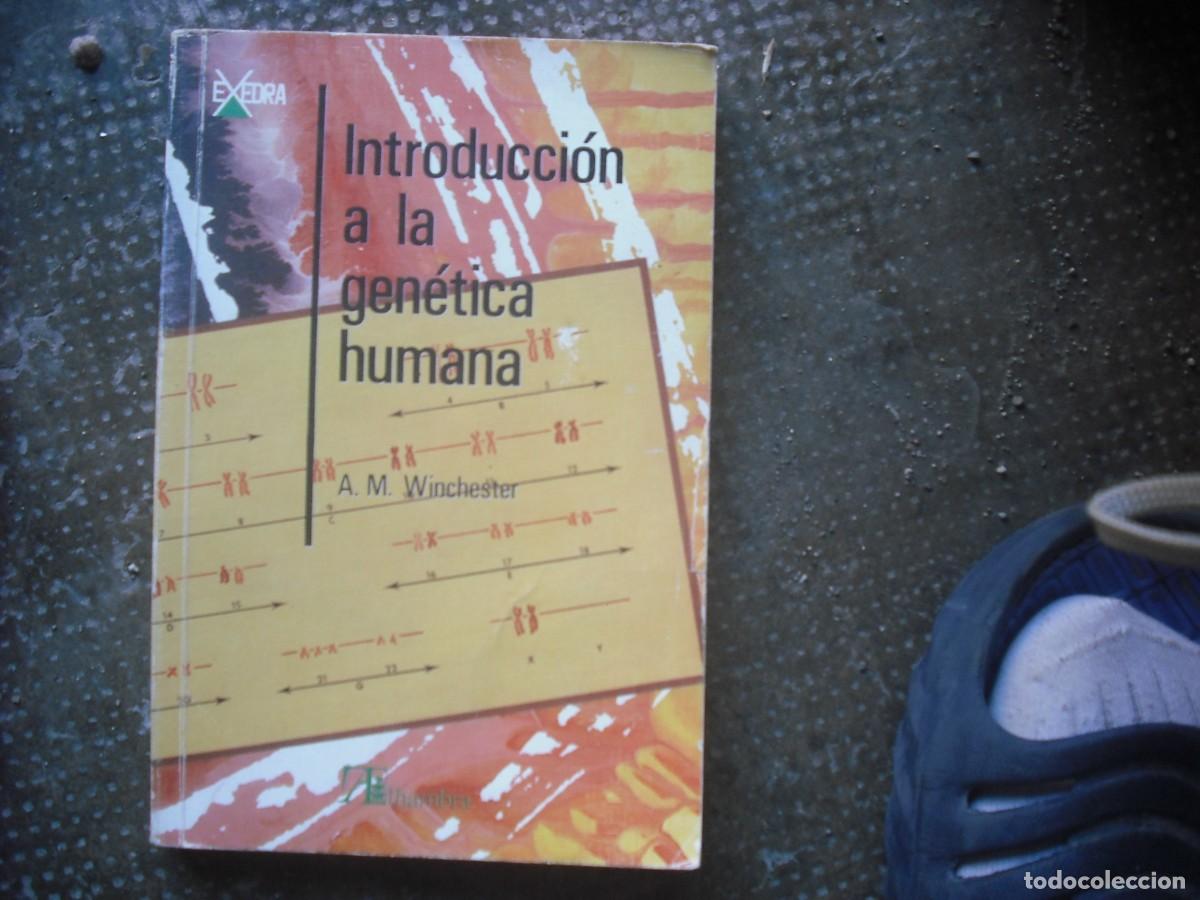 Libros de segunda mano: Introducci&oacute;n a la gen&eacute;tica humana - Foto 1