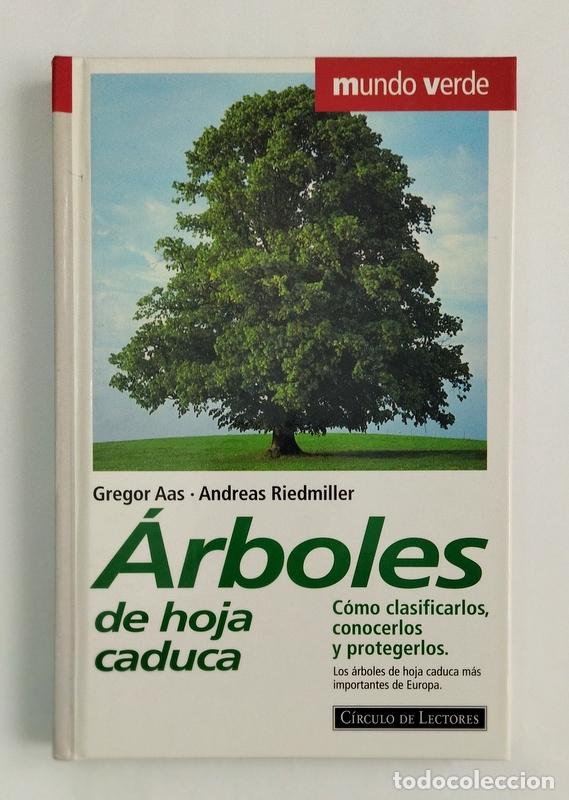 ARBOLES HOJA CADUCA