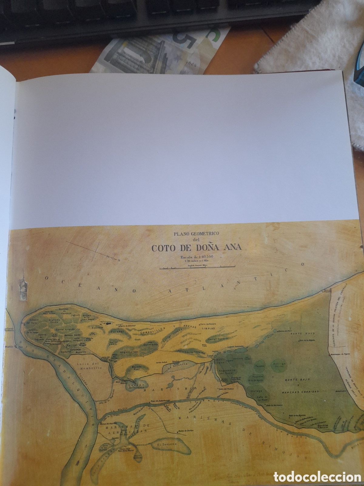Libros de segunda mano: Do&ntilde;ana. Juan Antonio Fern&aacute;ndez - Foto 3