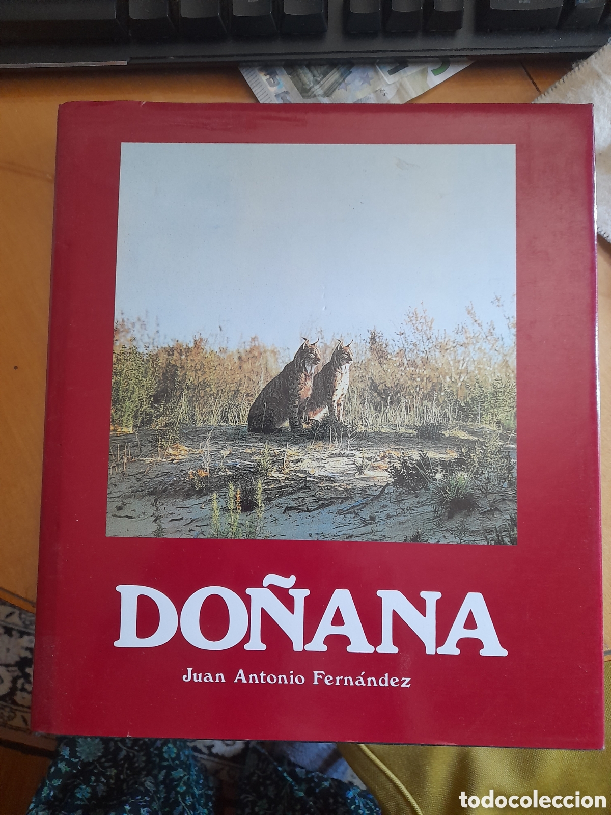 Libros de segunda mano: Do&ntilde;ana. Juan Antonio Fern&aacute;ndez - Foto 1