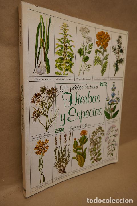 Libros de segunda mano: GU&Iacute;A PR&Aacute;CTICA ILUSTRADA DE HIERBAS Y ESPECIAS - WAVERLY ROOT - EDITORIAL BLUME - Foto 3
