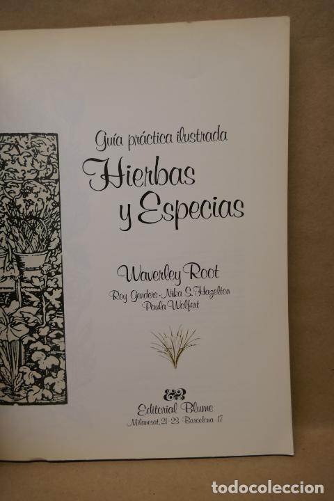 Libros de segunda mano: GU&Iacute;A PR&Aacute;CTICA ILUSTRADA DE HIERBAS Y ESPECIAS - WAVERLY ROOT - EDITORIAL BLUME - Foto 7