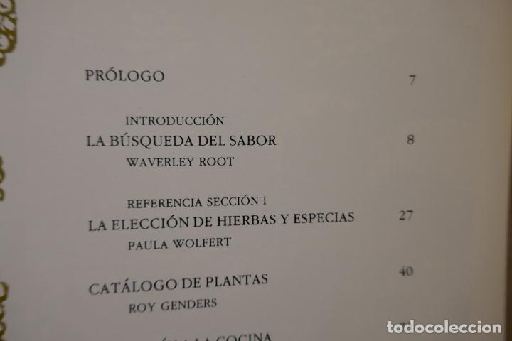 Libros de segunda mano: GU&Iacute;A PR&Aacute;CTICA ILUSTRADA DE HIERBAS Y ESPECIAS - WAVERLY ROOT - EDITORIAL BLUME - Foto 9