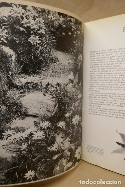 Libros de segunda mano: GU&Iacute;A PR&Aacute;CTICA ILUSTRADA DE HIERBAS Y ESPECIAS - WAVERLY ROOT - EDITORIAL BLUME - Foto 11