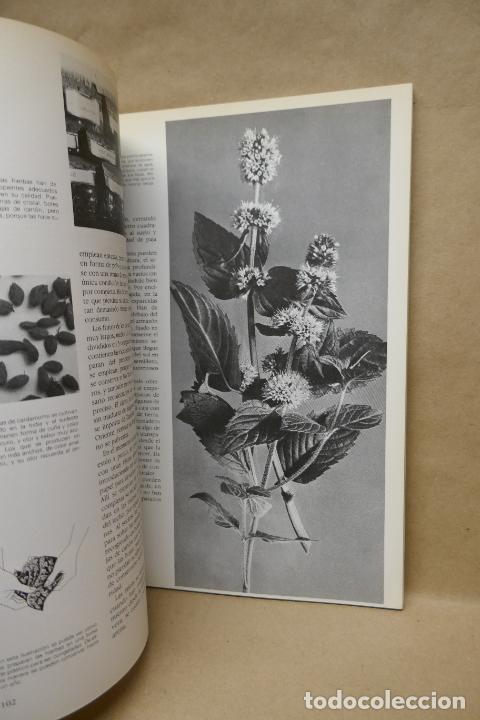 Libros de segunda mano: GU&Iacute;A PR&Aacute;CTICA ILUSTRADA DE HIERBAS Y ESPECIAS - WAVERLY ROOT - EDITORIAL BLUME - Foto 12