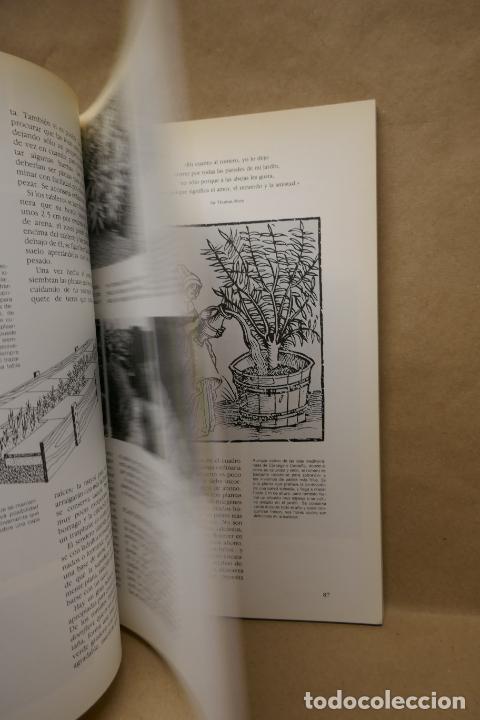 Libros de segunda mano: GU&Iacute;A PR&Aacute;CTICA ILUSTRADA DE HIERBAS Y ESPECIAS - WAVERLY ROOT - EDITORIAL BLUME - Foto 13