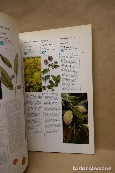Libros de segunda mano: GU&Iacute;A PR&Aacute;CTICA ILUSTRADA DE HIERBAS Y ESPECIAS - WAVERLY ROOT - EDITORIAL BLUME - Foto 14