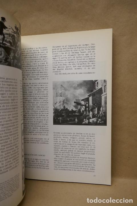 Libros de segunda mano: GU&Iacute;A PR&Aacute;CTICA ILUSTRADA DE HIERBAS Y ESPECIAS - WAVERLY ROOT - EDITORIAL BLUME - Foto 16