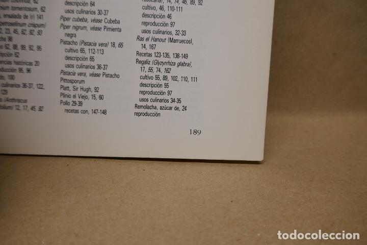 Libros de segunda mano: GU&Iacute;A PR&Aacute;CTICA ILUSTRADA DE HIERBAS Y ESPECIAS - WAVERLY ROOT - EDITORIAL BLUME - Foto 17