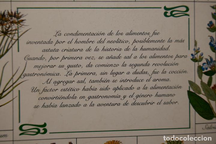 Libros de segunda mano: GU&Iacute;A PR&Aacute;CTICA ILUSTRADA DE HIERBAS Y ESPECIAS - WAVERLY ROOT - EDITORIAL BLUME - Foto 19