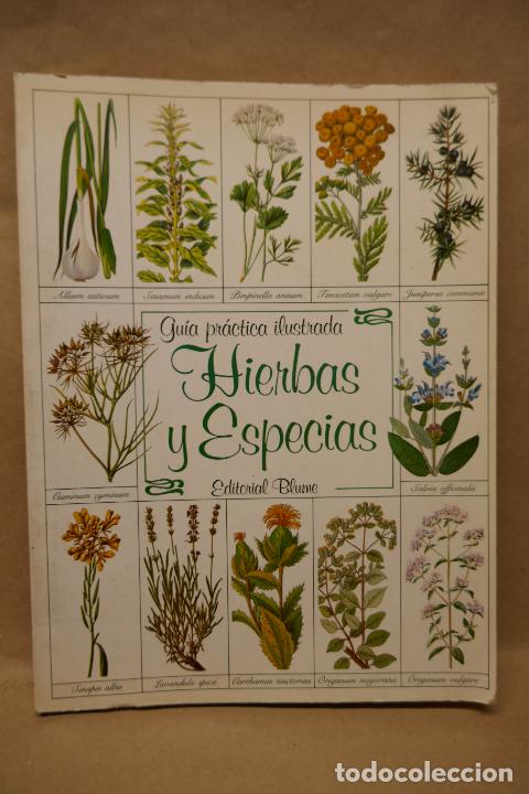 Libros de segunda mano: GU&Iacute;A PR&Aacute;CTICA ILUSTRADA DE HIERBAS Y ESPECIAS - WAVERLY ROOT - EDITORIAL BLUME - Foto 1