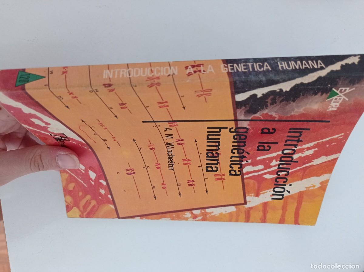 Libros de segunda mano: Introducci&oacute;n a la gen&eacute;tica humana - A. M. Winchester - Foto 3