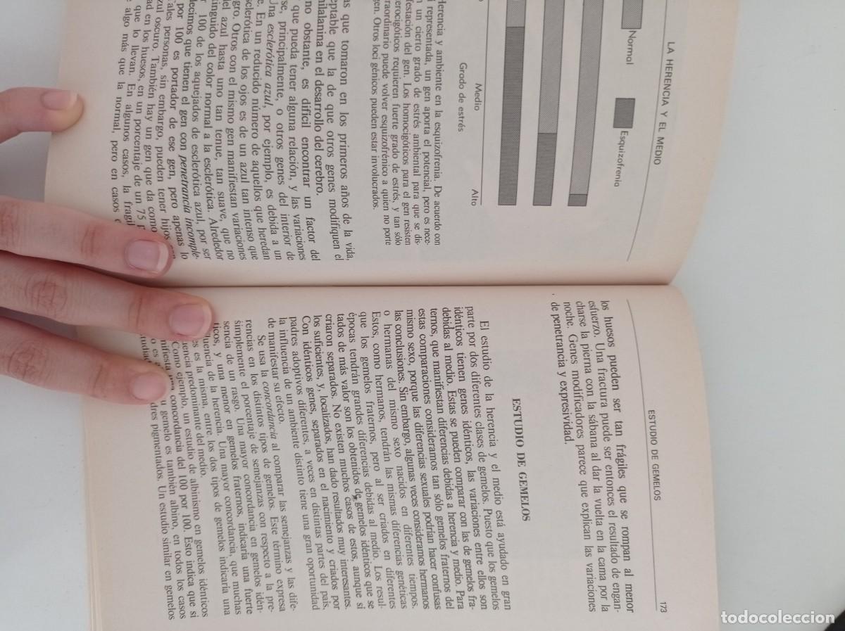 Libros de segunda mano: Introducci&oacute;n a la gen&eacute;tica humana - A. M. Winchester - Foto 4