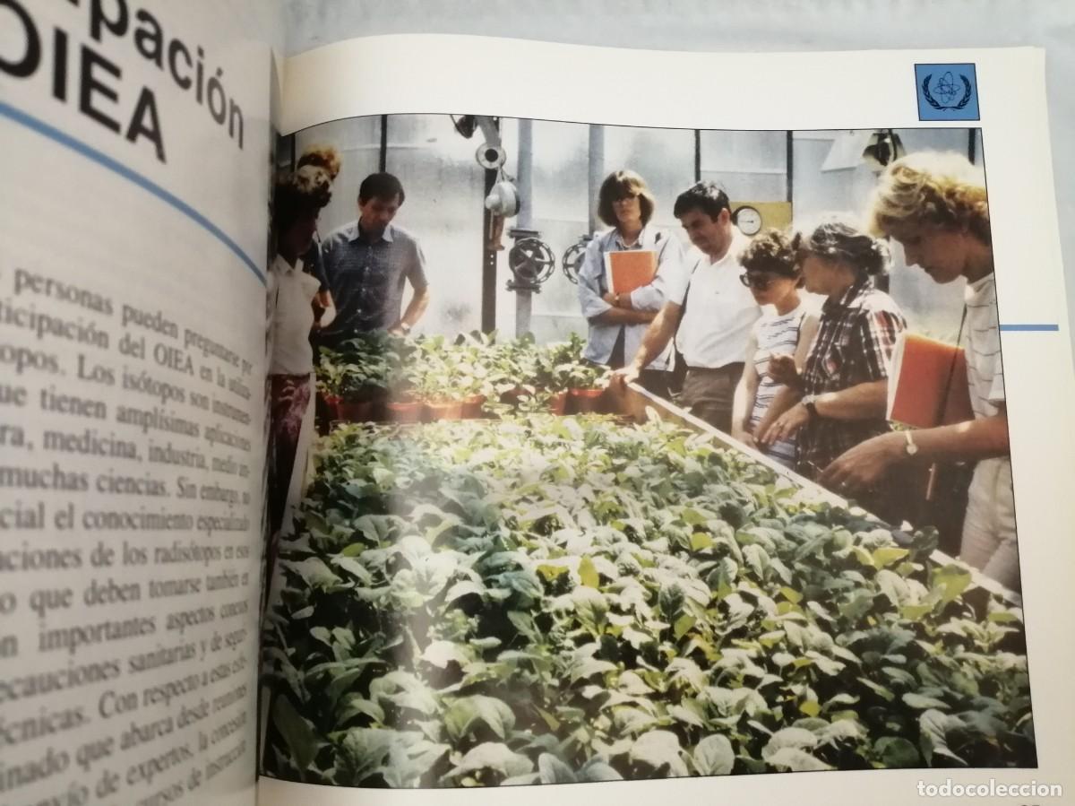 Libros de segunda mano de ciencias: LOS IS&Oacute;TOPOS EN LA VIDA COTIDIANA (Edici&oacute;n 1994) - Foto 3