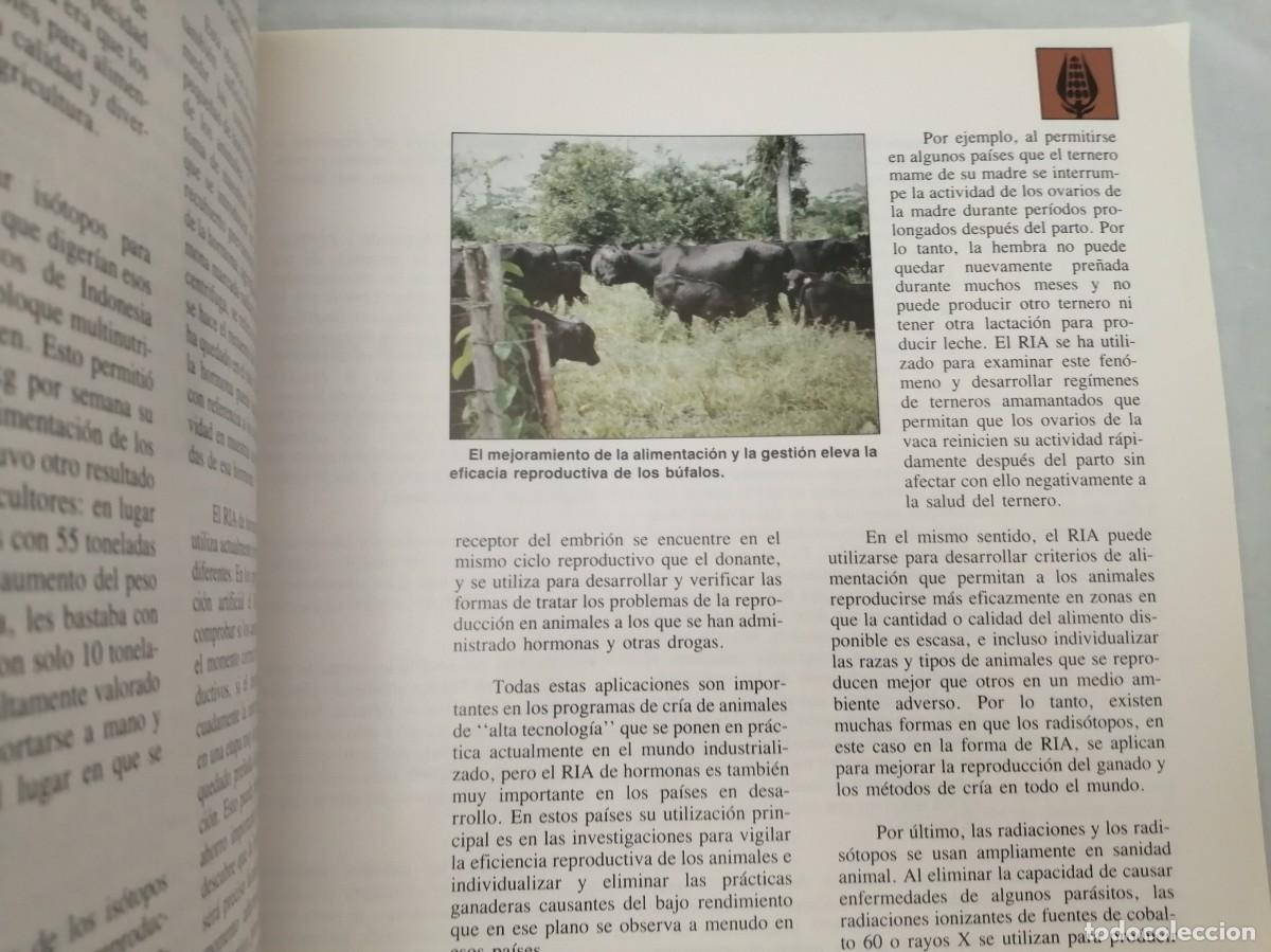 Libros de segunda mano de ciencias: LOS IS&Oacute;TOPOS EN LA VIDA COTIDIANA (Edici&oacute;n 1994) - Foto 5