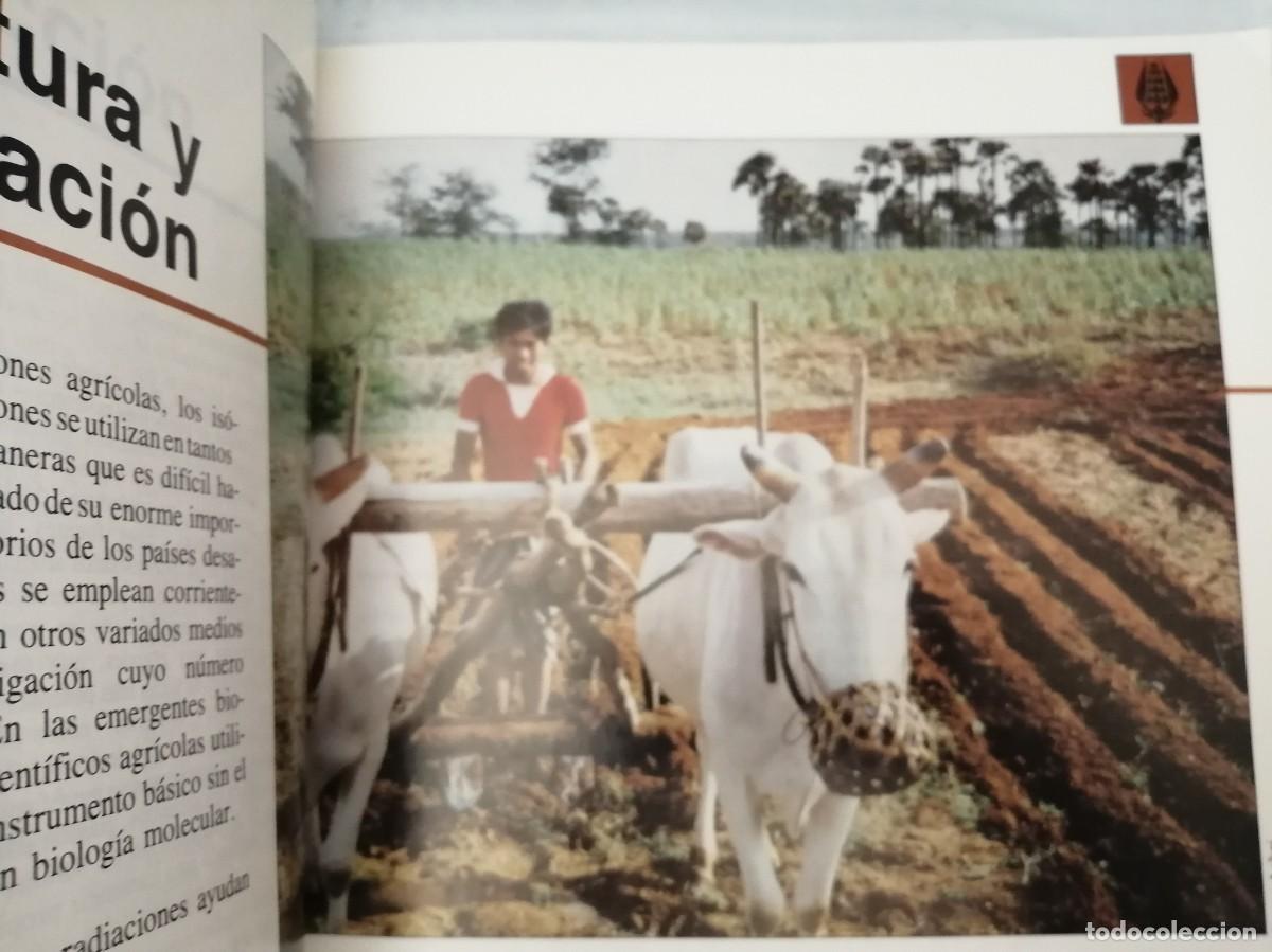 Libros de segunda mano de ciencias: LOS IS&Oacute;TOPOS EN LA VIDA COTIDIANA (Edici&oacute;n 1994) - Foto 6