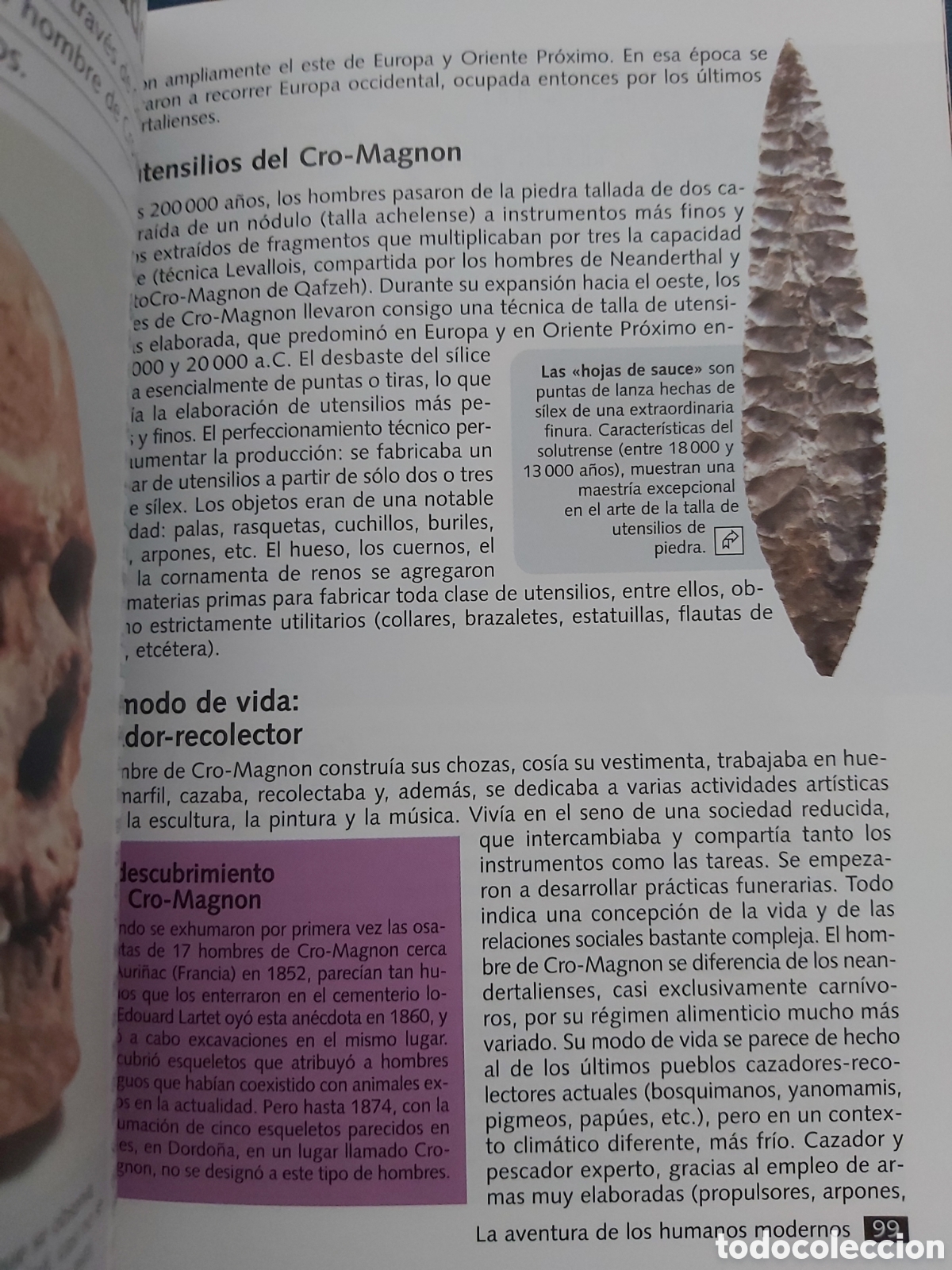 Libros de segunda mano: LOS OR&Iacute;GENES DEL HOMBRE # E. SEINANDRE # E. LAROUSSE # 2005 # BIBLIOTECA ACTUAL - Foto 7