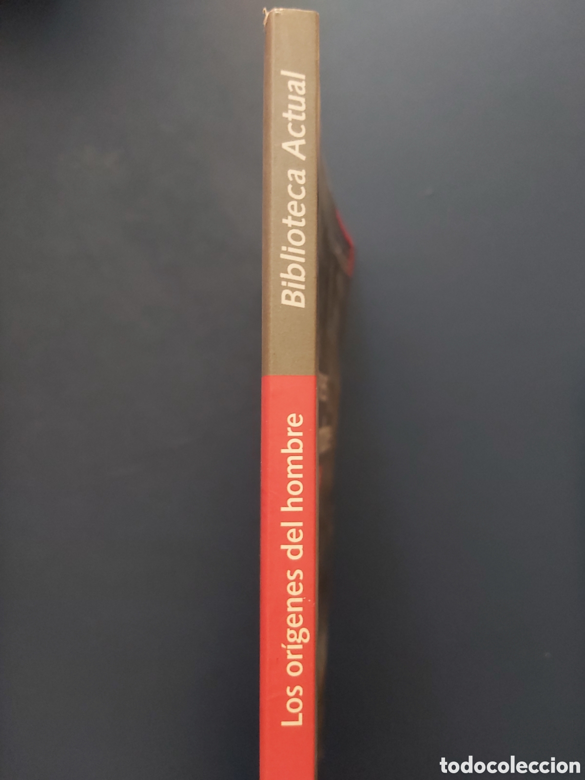Libros de segunda mano: LOS OR&Iacute;GENES DEL HOMBRE # E. SEINANDRE # E. LAROUSSE # 2005 # BIBLIOTECA ACTUAL - Foto 9