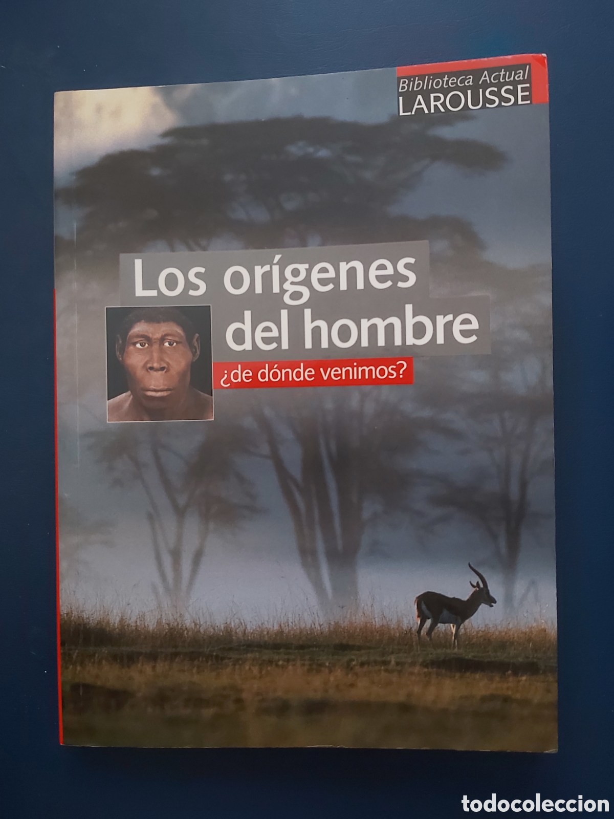 Libros de segunda mano: LOS OR&Iacute;GENES DEL HOMBRE # E. SEINANDRE # E. LAROUSSE # 2005 # BIBLIOTECA ACTUAL - Foto 1