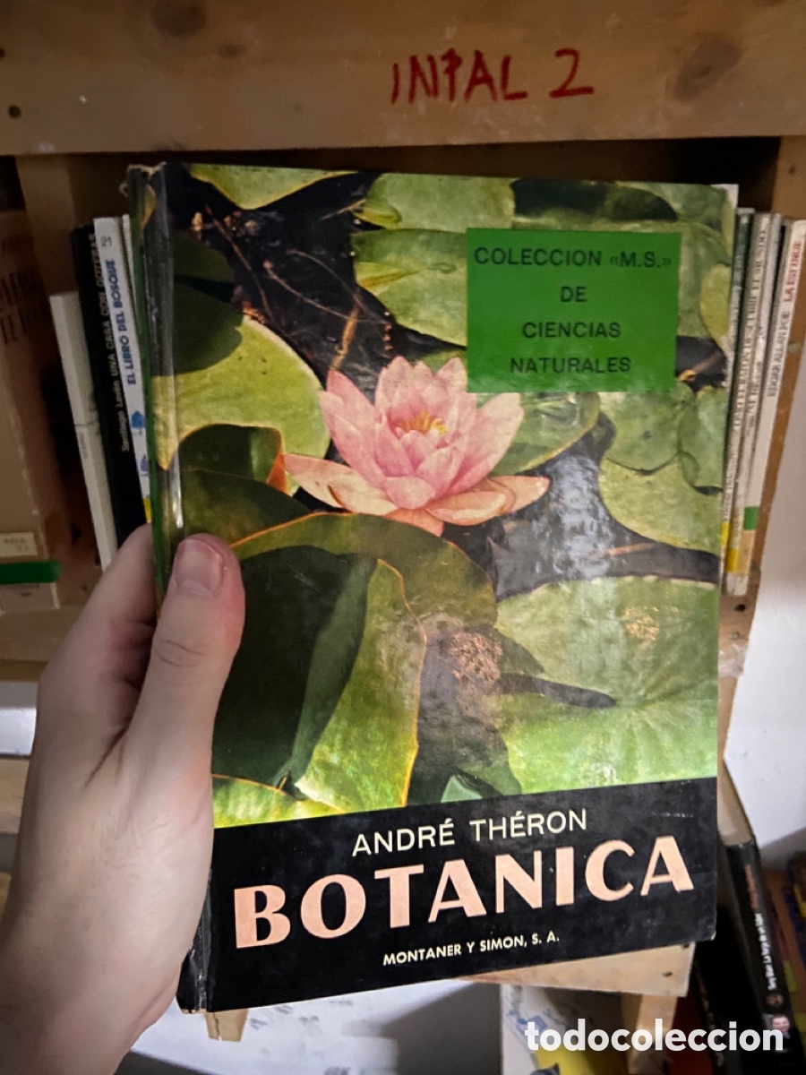 Libros de segunda mano: InPal2, BOTANICA, ANDRE THERON, COLECCION M S - Foto 1