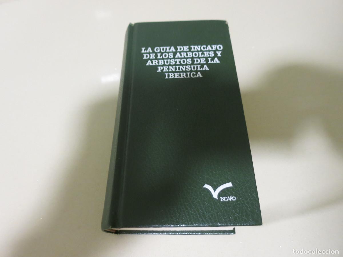 Libros de segunda mano: LA GUIA DE INCAFO DE LOS ARBOLES Y ARBUSTOS DE LA PENINSULA IBERICA. GUIAS VERDES 4