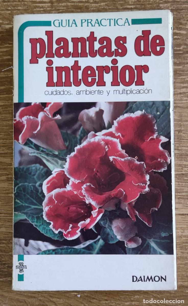Libros de segunda mano: Gu&iacute;a pr&aacute;ctica Plantas de Interior (1983) Ediciones Daimon - Foto 1