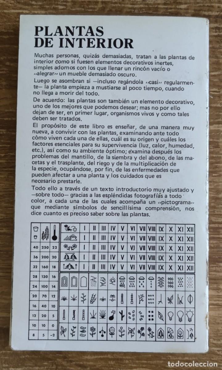 Libros de segunda mano: Gu&iacute;a pr&aacute;ctica Plantas de Interior (1983) Ediciones Daimon - Foto 5